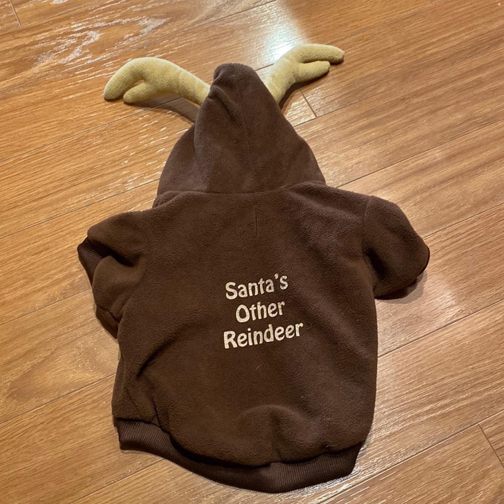 “Santa’s other reindeer” consume for smaller dogs